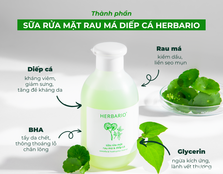 Sữa rửa mặt rau má diếp cá Herbario hội tụ các thành phần vàng cho da dầu mụn Sữa rửa mặt rau má diếp cá Herbario hội tụ các thành phần vàng cho da dầu mụn