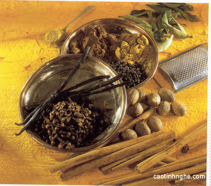 Nguyên liệu chữa bệnh Ayurvedic Nguyên liệu chữa bệnh Ayurvedic