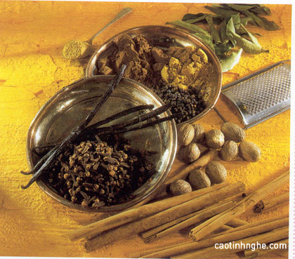 Nguyên liệu chữa bệnh Ayurvedic