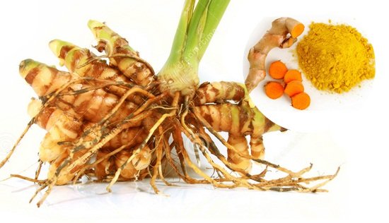 hỗ trợ trị bệnh hiệu quả củ nghệ