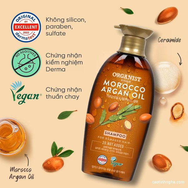 top 5 dau goi khong sulfate