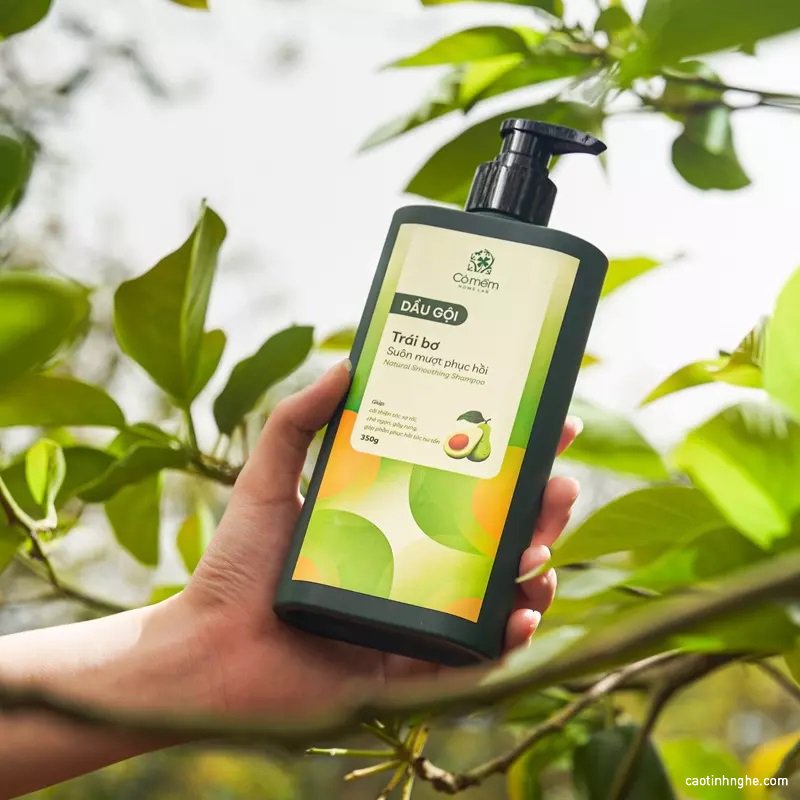 top 5 dau goi khong silicon duoc ua chuong