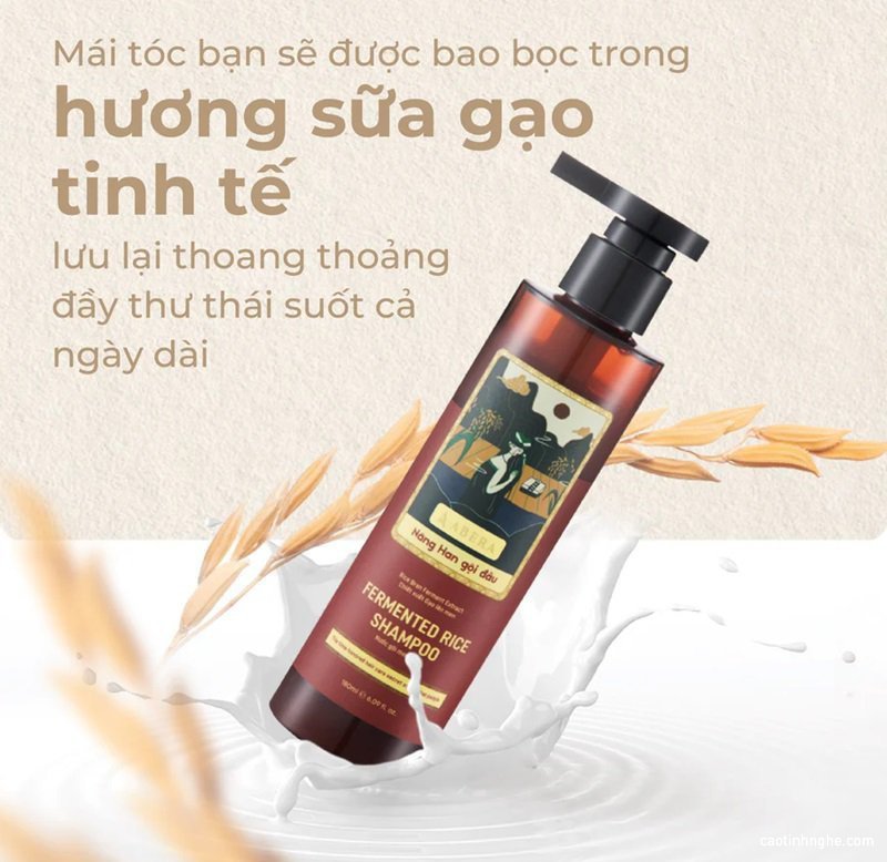 7 loai dau goi khong silicon duoc ua chuong