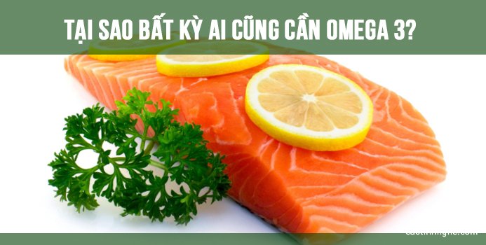 Tại sao bất kỳ ai cũng cần Omega 3?