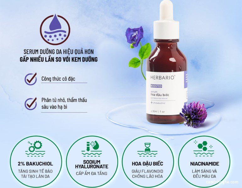 Những thành phần chính của Serum hoa đậu biếc Boosted làm mờ vết thâm Những thành phần chính của Serum hoa đậu biếc Boosted làm mờ vết thâm