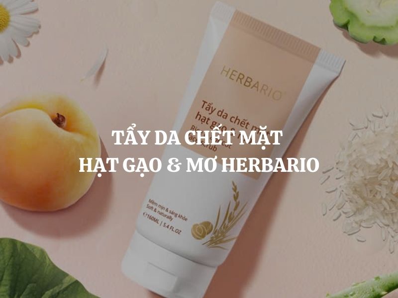 Tẩy da chết mặt hạt gạo & mơ Herbario có tốt không? Review chi tiết Tẩy da chết mặt hạt gạo & mơ Herbario có tốt không? Review chi tiết